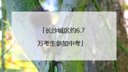 长沙城区约6.7万考生参加中考